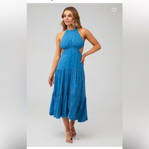 Karina Grimaldi lily jacquard dress